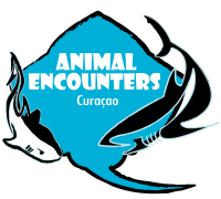 AnimalEncouters_logo-min AnimalEncouters_logo-min