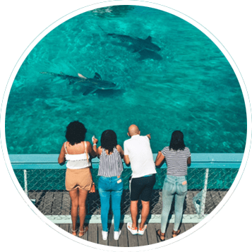 CSA_Round_1_357x357 sea_aquarium_home_circle_1