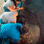 CSA_Round_3_150x150 sea_aquarium_home_circle_3