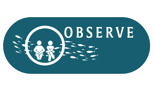 observe button