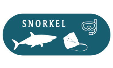 Snorkel-1